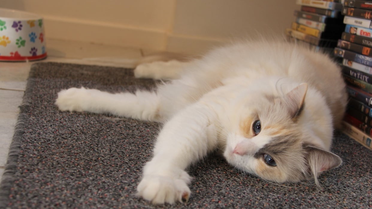 Av and Tv modes on Cannon DSLR Skillshare Student Project