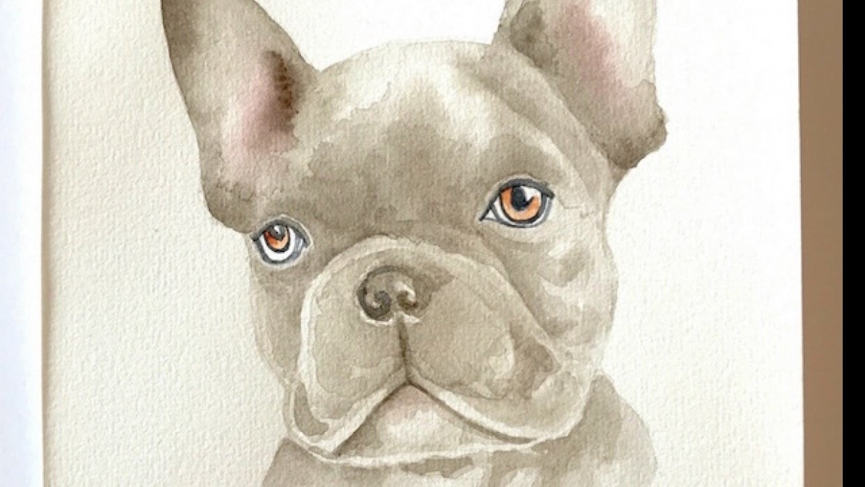 Realistic Watercolor Frenchie - student project