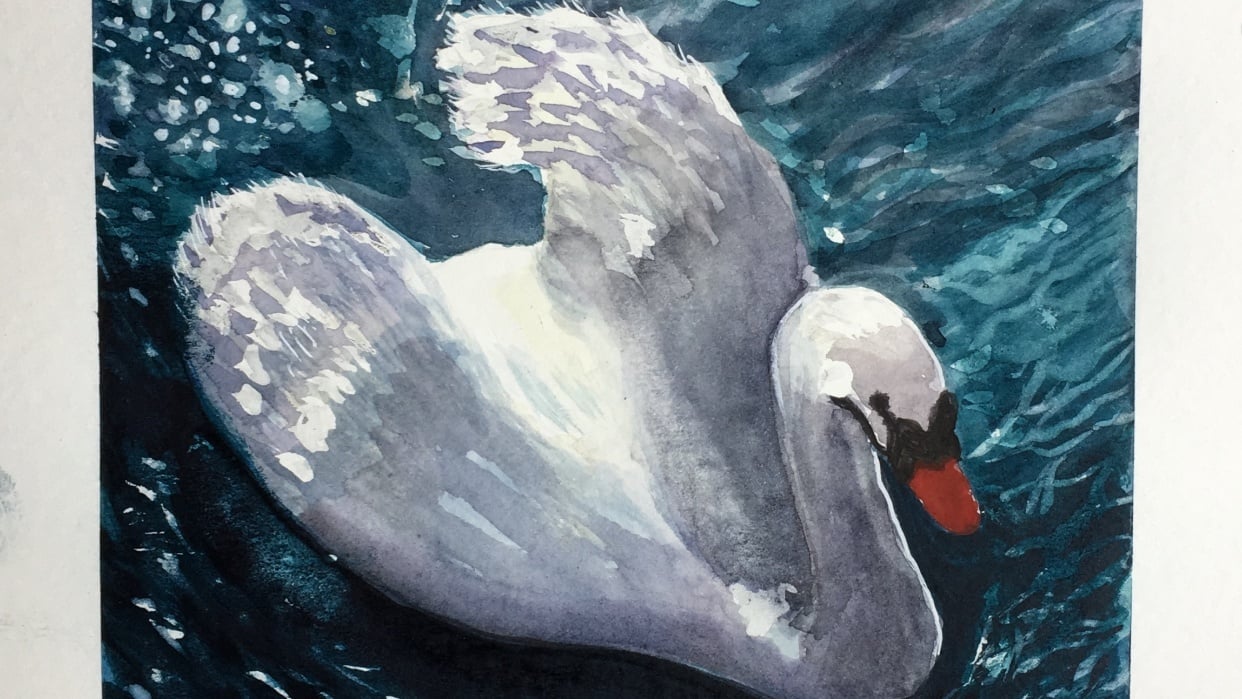 Swan, painting whites - student project