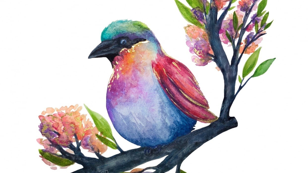 Watercolour Bird - student project