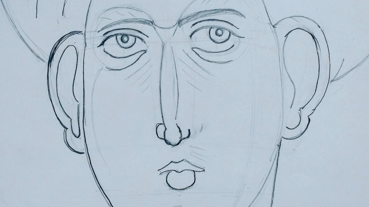 Face in dynamic frontal pose 1 - student project