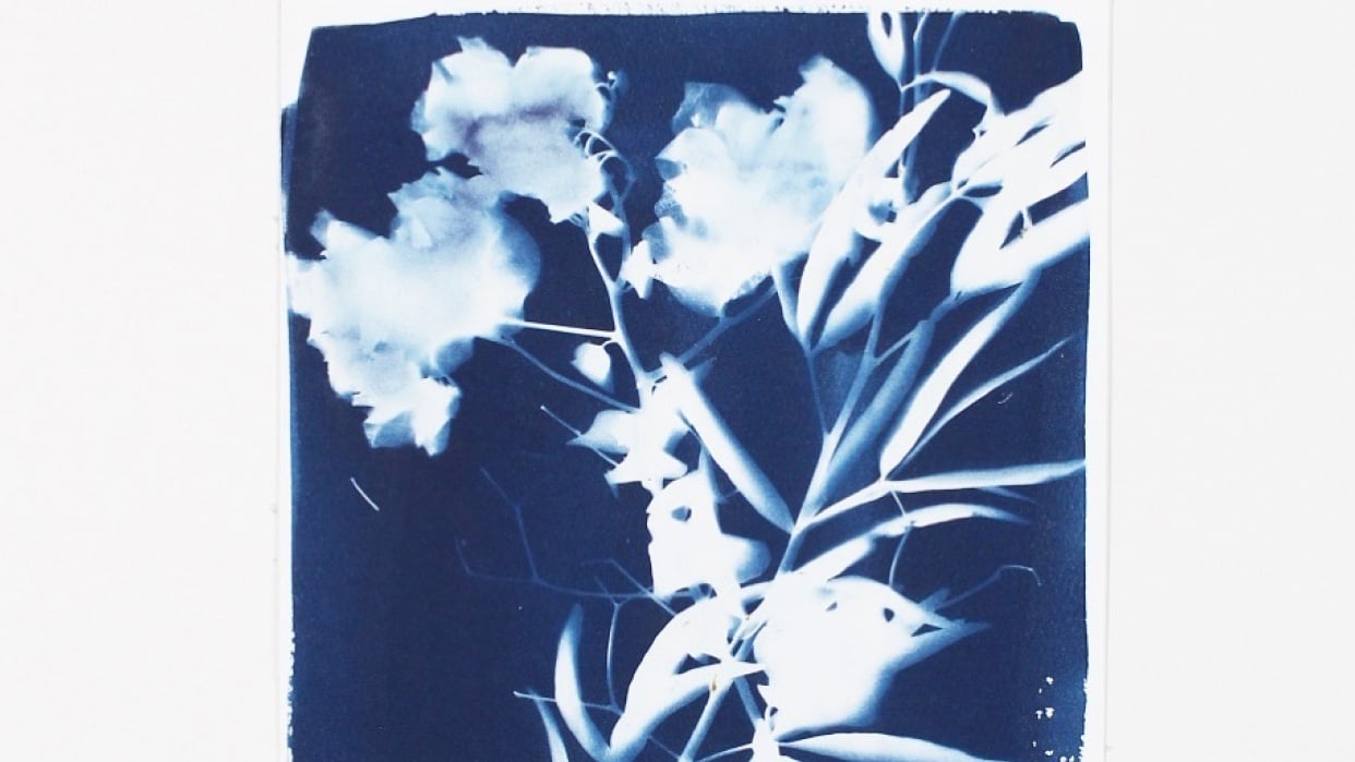 My favorite botanical print to date! - student project