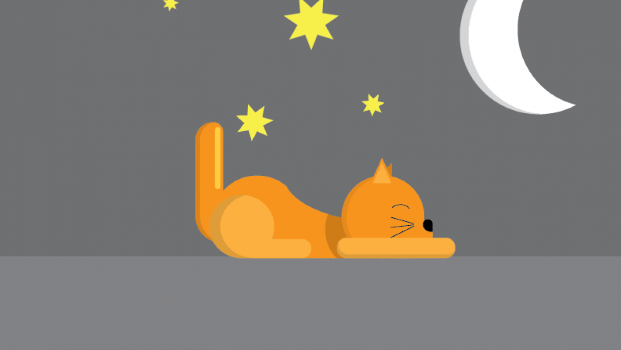 Sleeping cat - student project