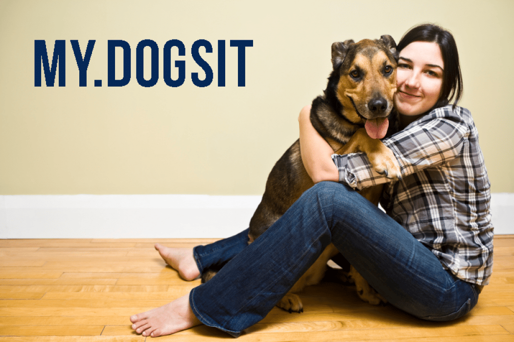 MyDogSit - No more hunting for a dog sitter! - student project