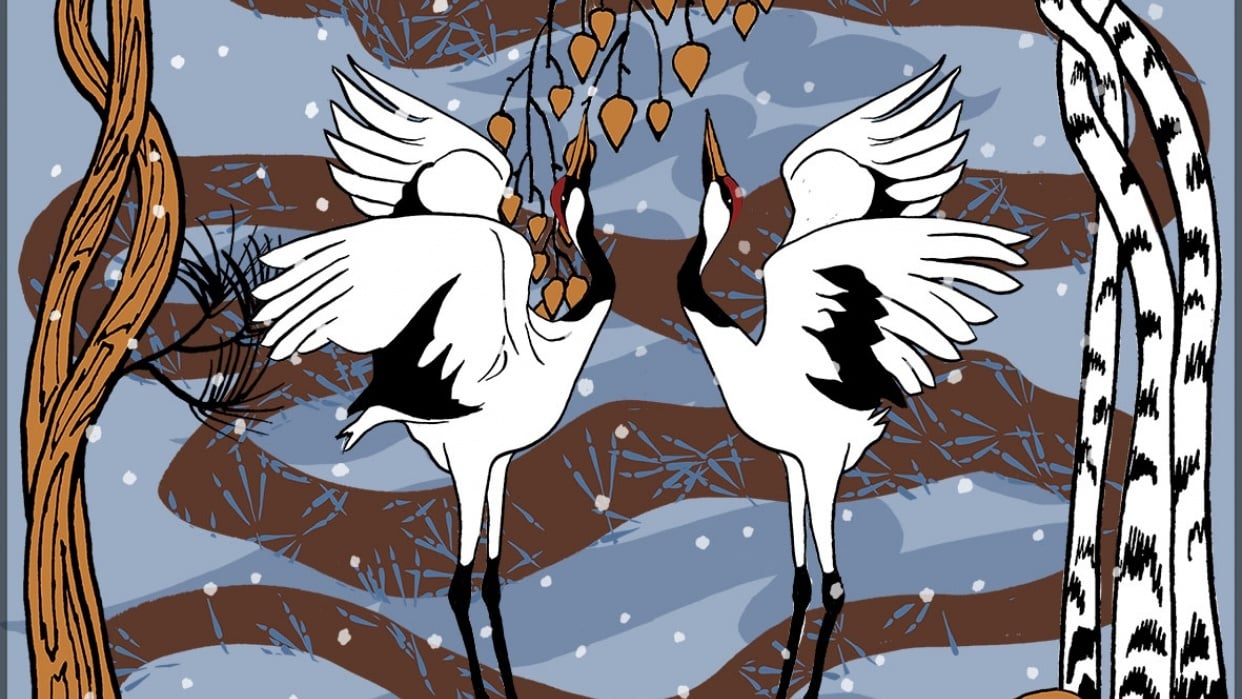 Two redheaded cranes Skillshare Student Project