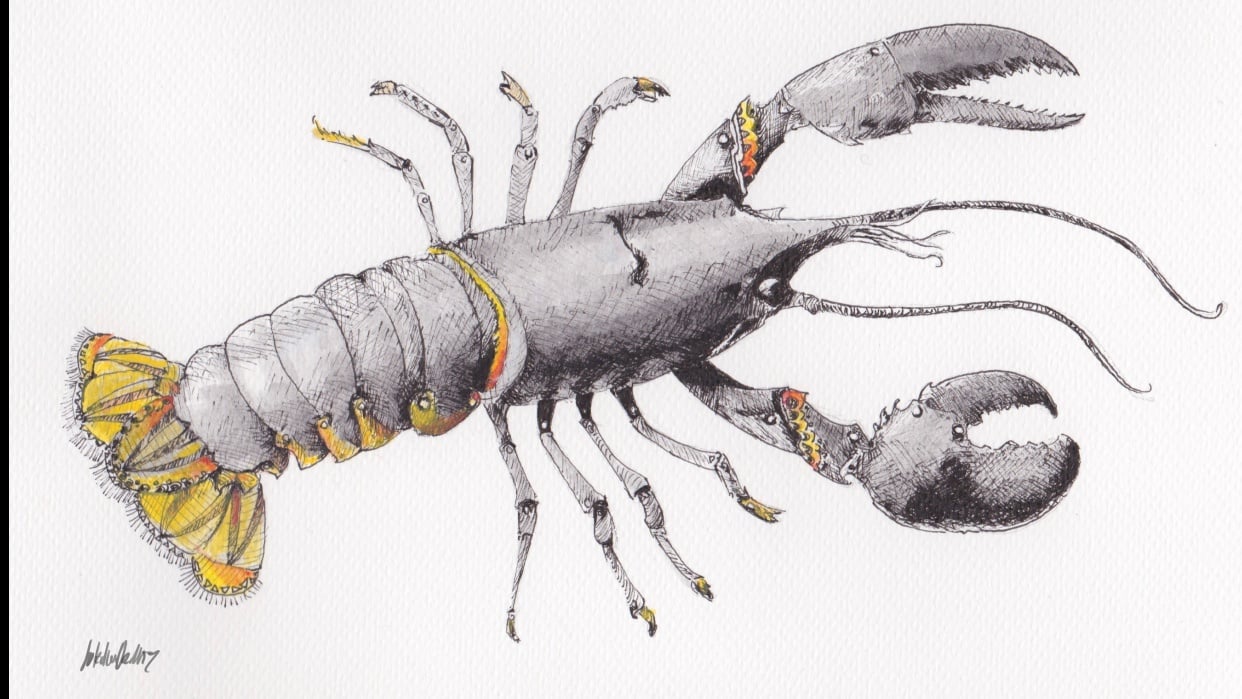 Lobster - student project