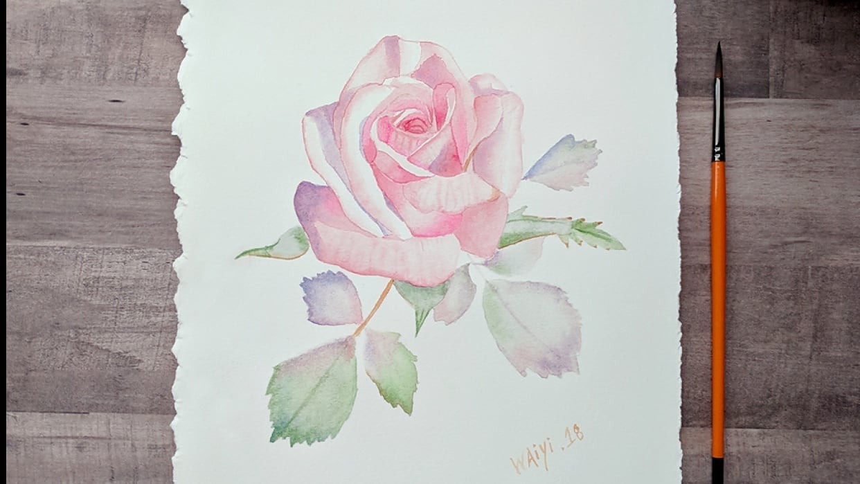 Watercolor Pink Rose Painting Skillshare Student Project