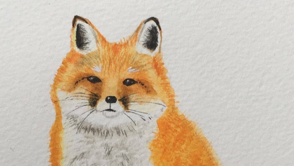 Fluffy Fox - student project