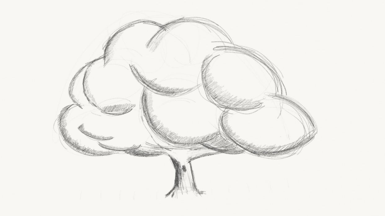 Sketching a tree - student project