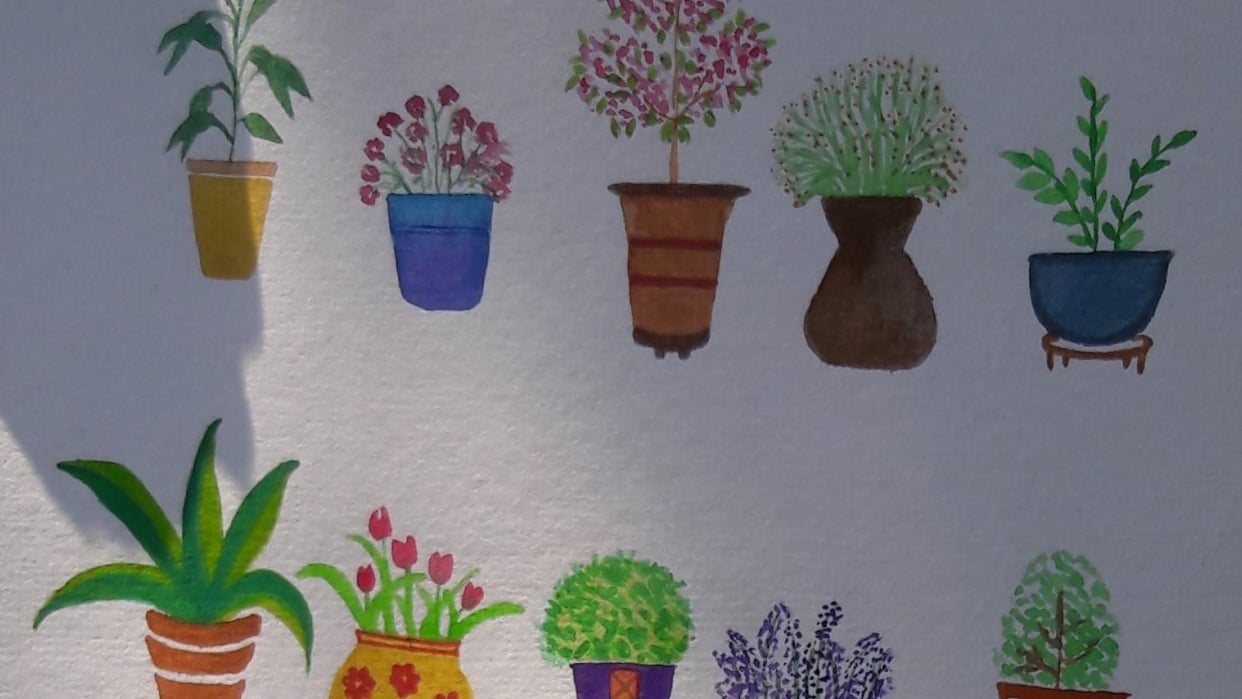 Cute Potted Plants Skillshare Student Project
