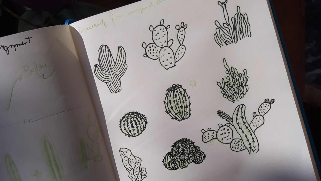 A cactus experience - student project