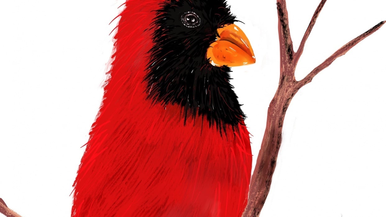My First Procreate Try Skillshare Student Project My First Procreate Try Skillshare Student Project