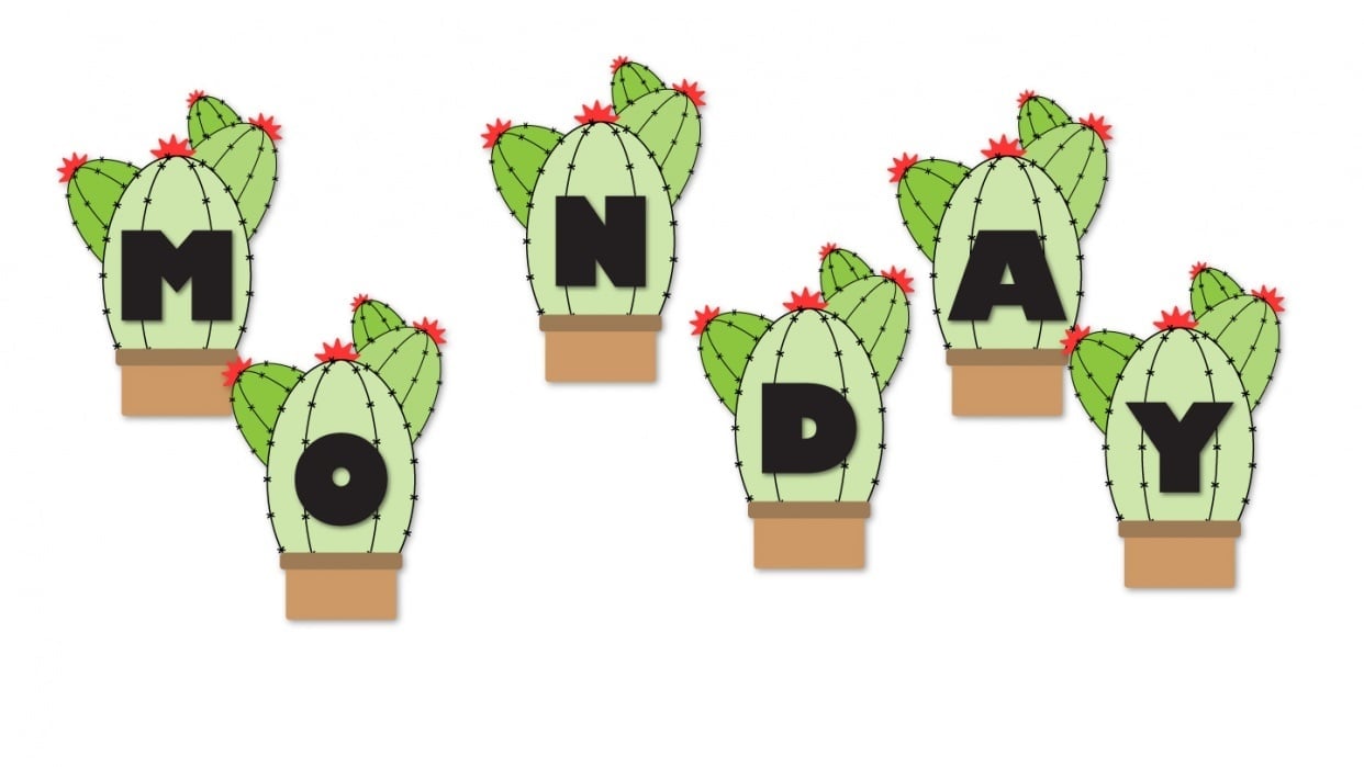 Cactus appearance - student project