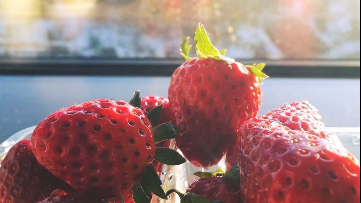 Sweet Morning Healthy Food Skillshare Student Project