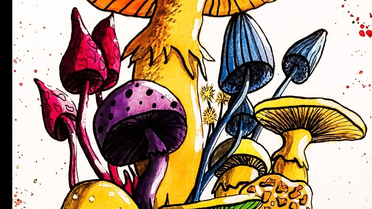 Whimsical mushrooms - student project