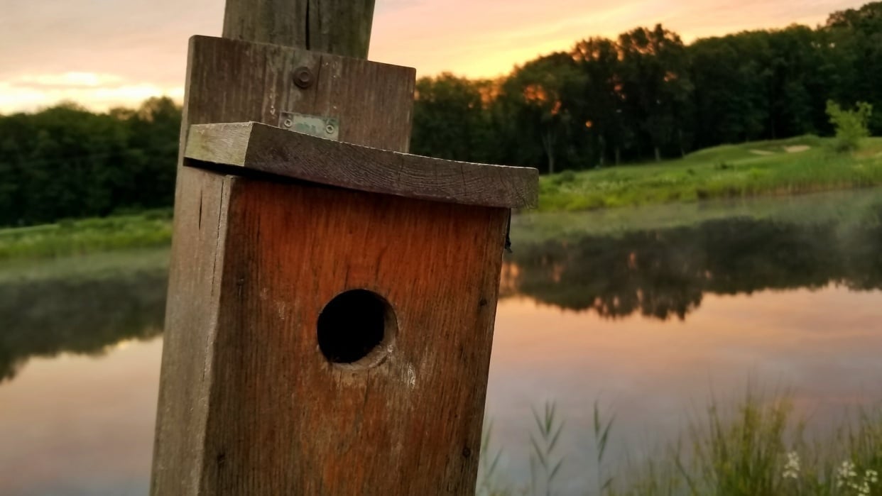 Random NJ Musings Skillshare Student Project