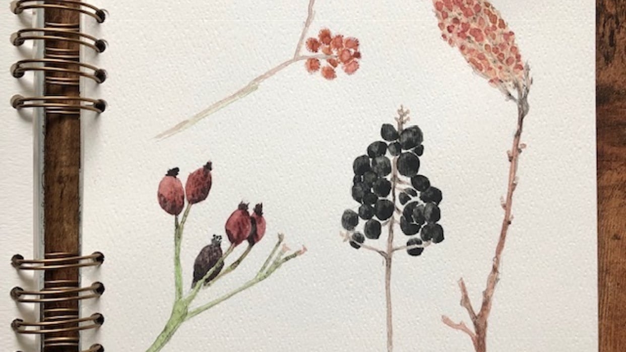 winter nature sketchbook journal - student project