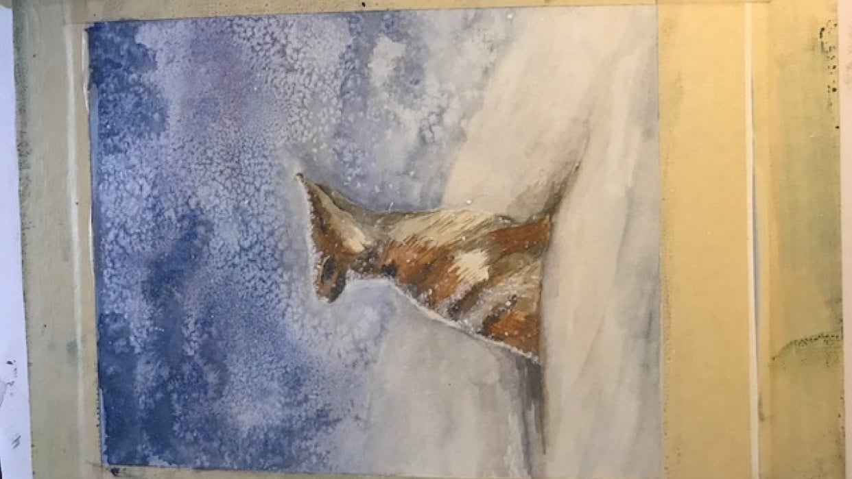 First Attempt at Fox in the Snow - student project