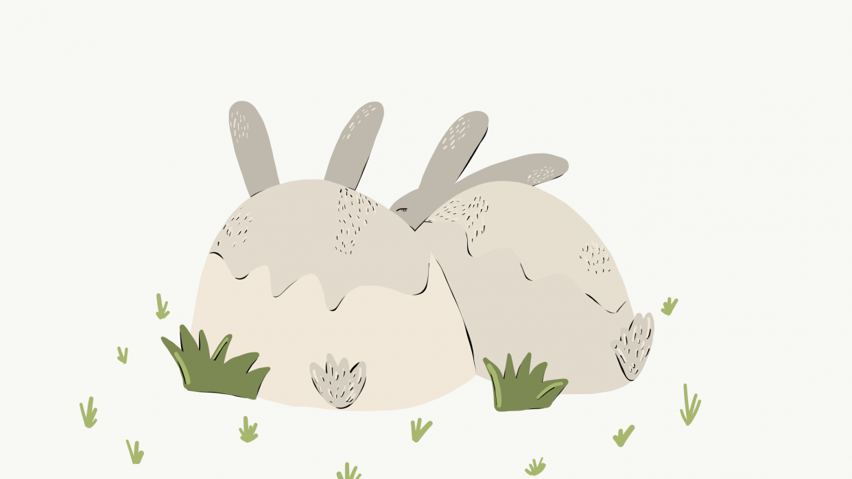 Rabbits - student project