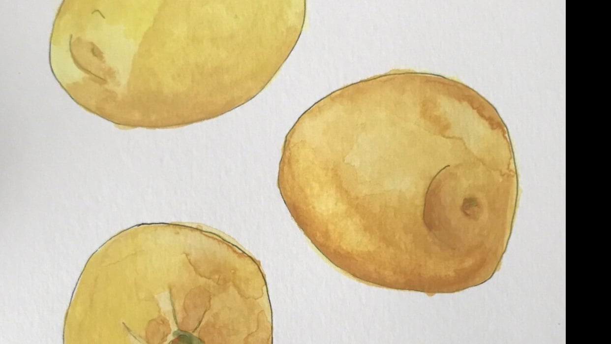 Lemons - student project