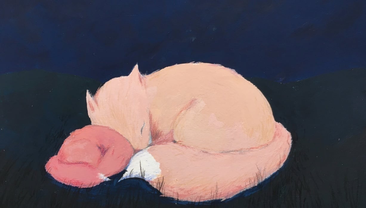 Little sleepy-heads - student project
