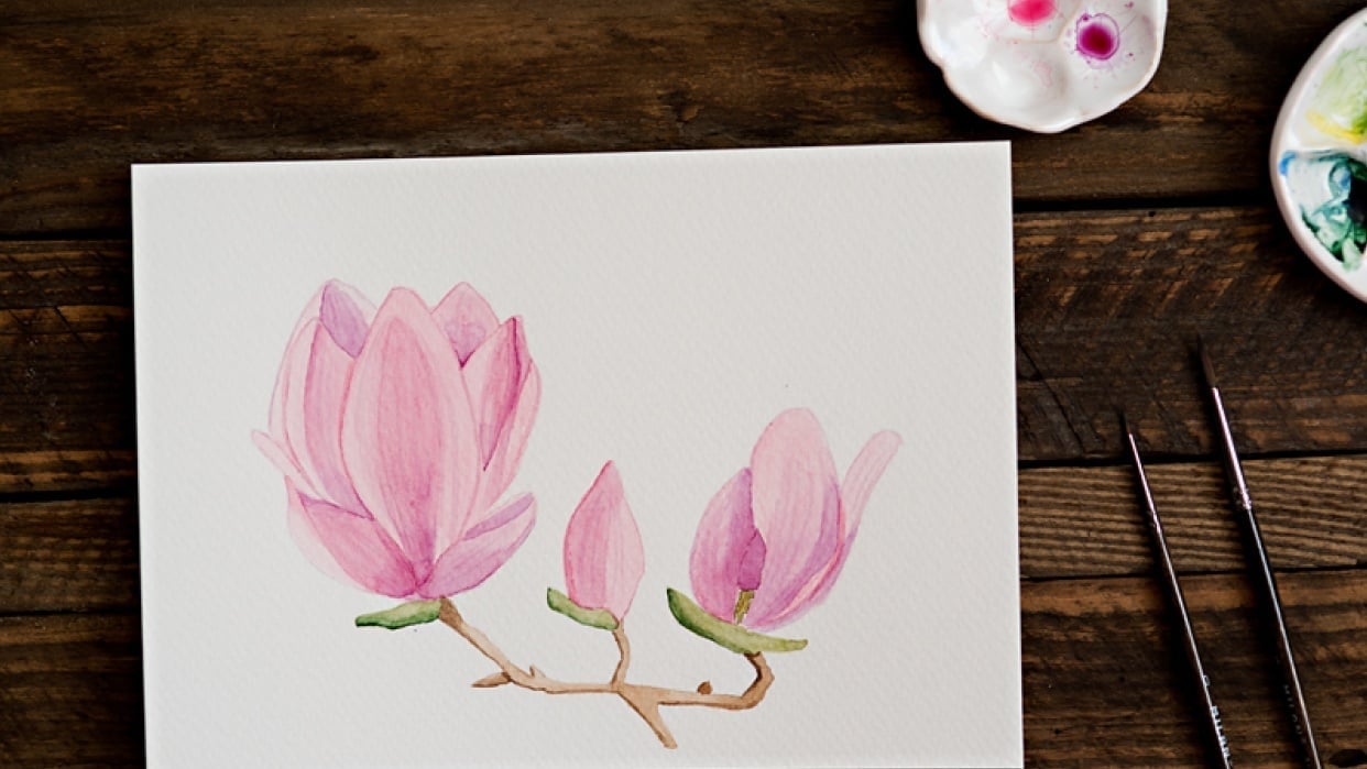 Magnolias - student project
