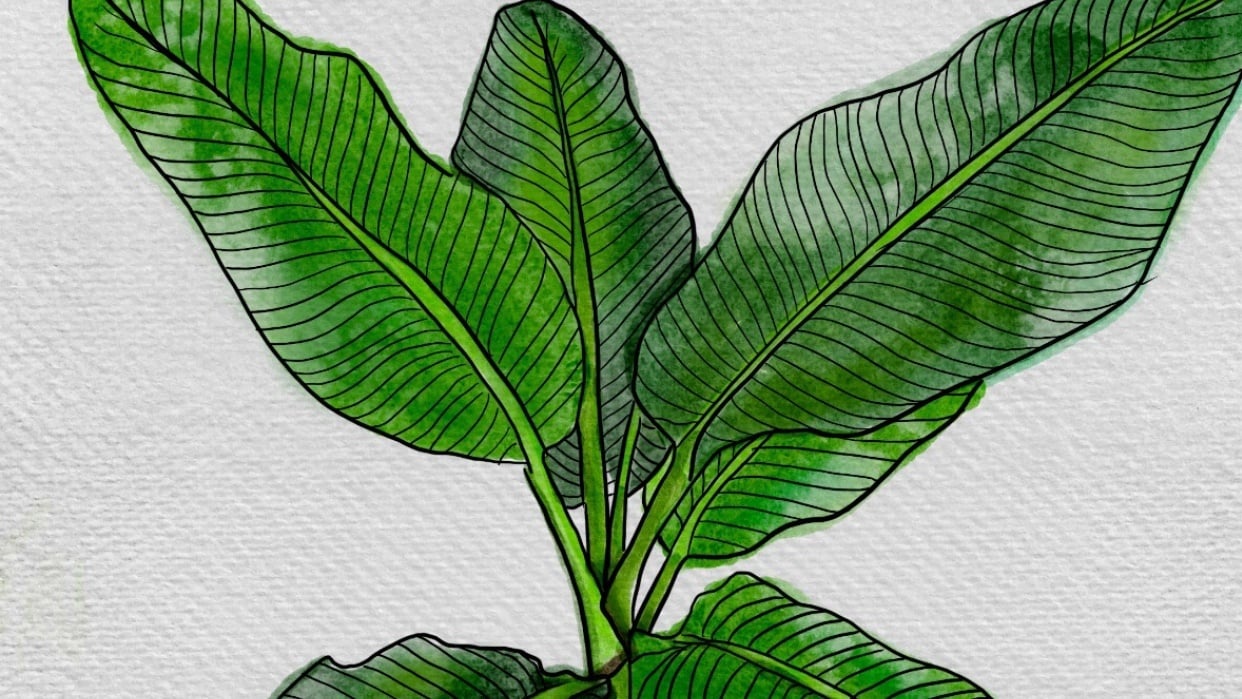 Very happy with the results! - student project