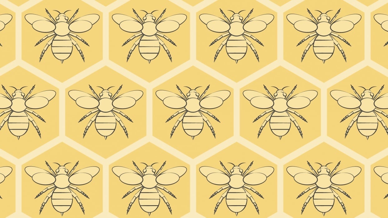 Bring Back the Bees! - student project