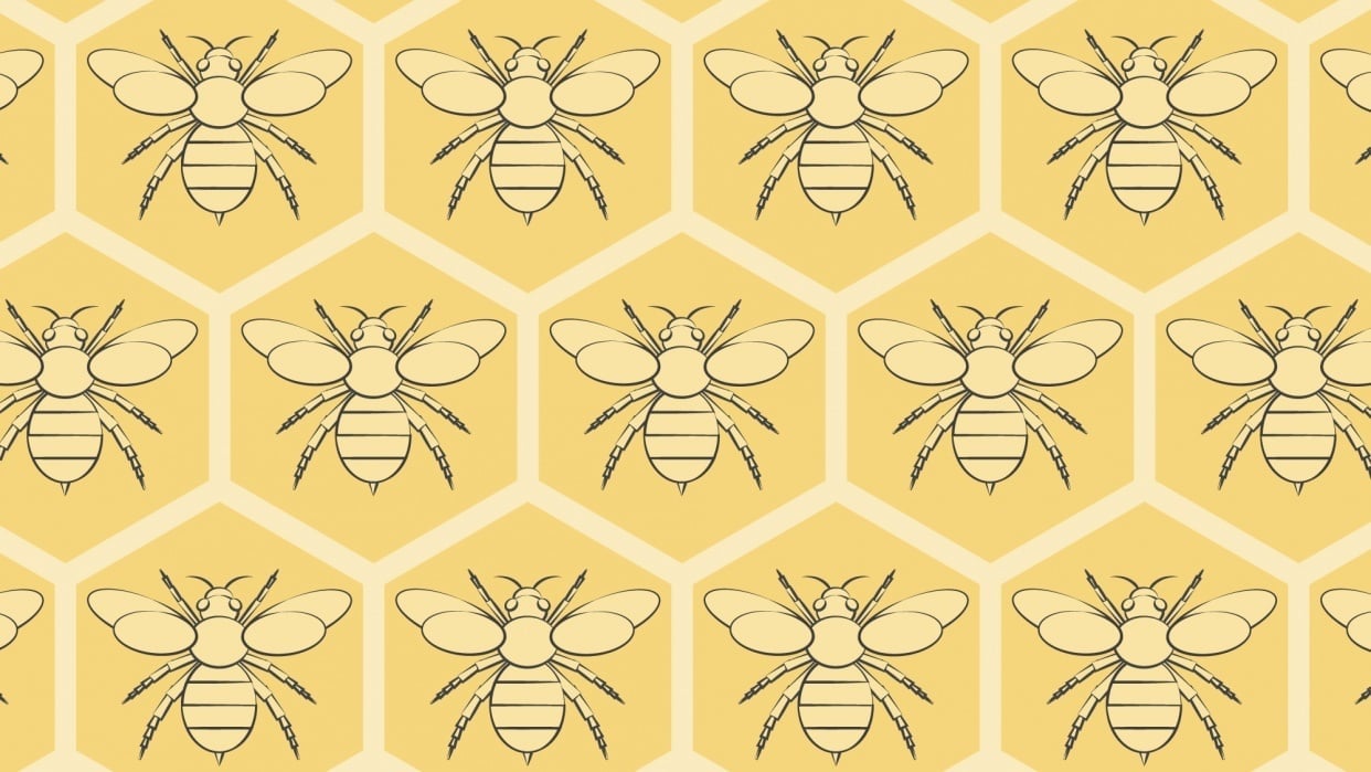 Bring Back the Bees! - student project