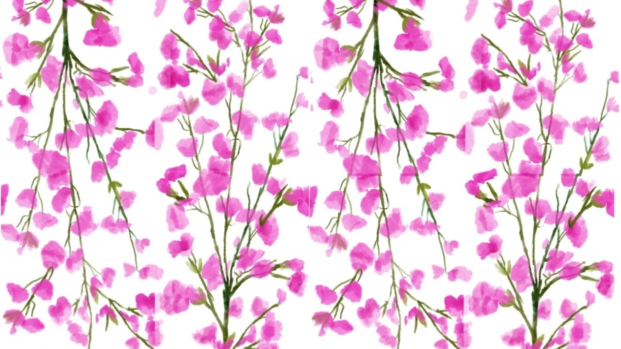 Cherry blossoms - student project