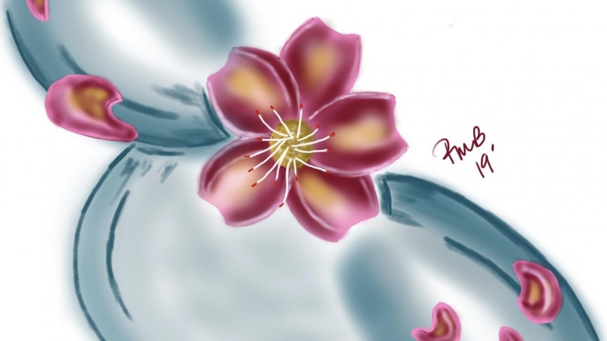 Cherry Blossum - student project