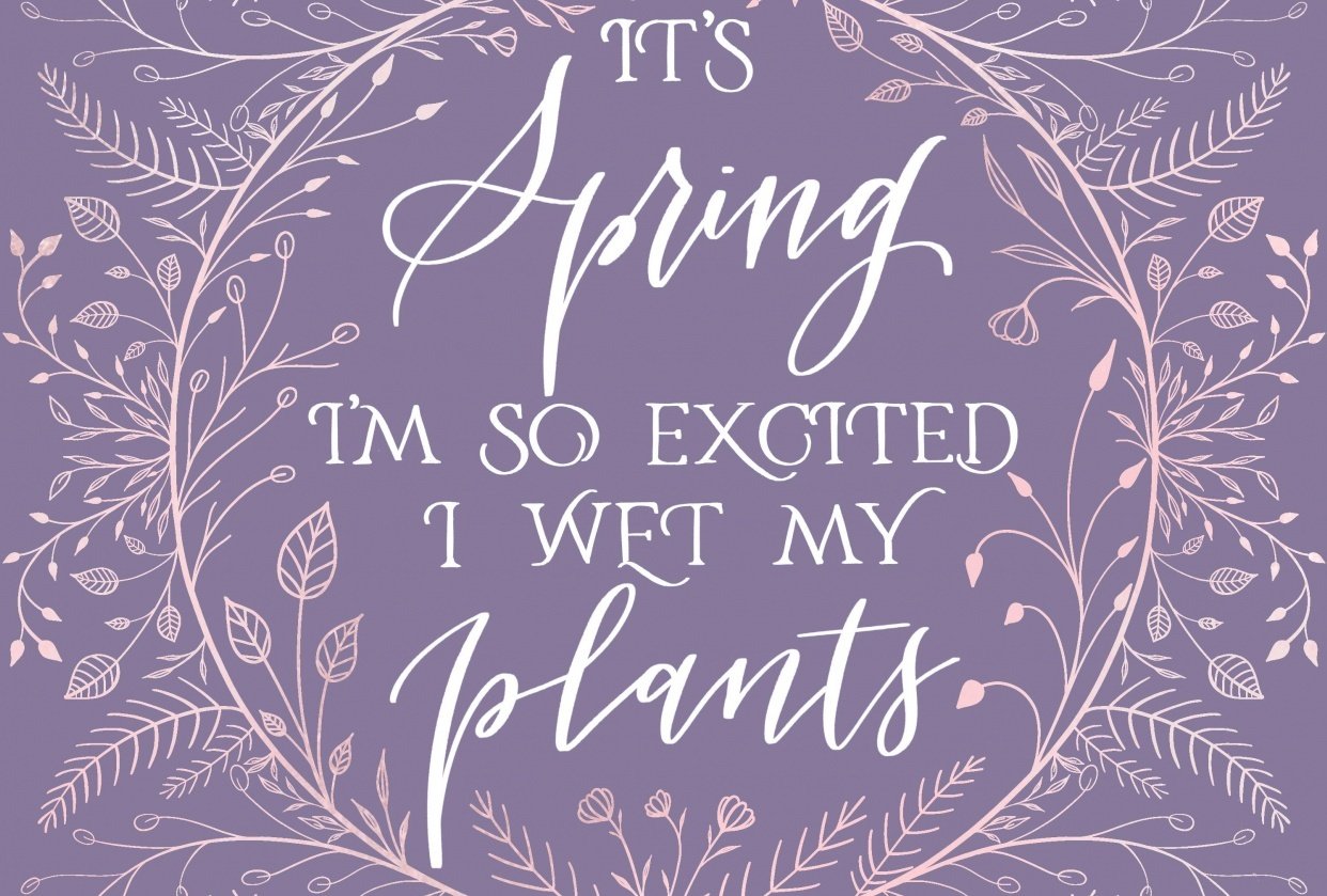 Spring - student project