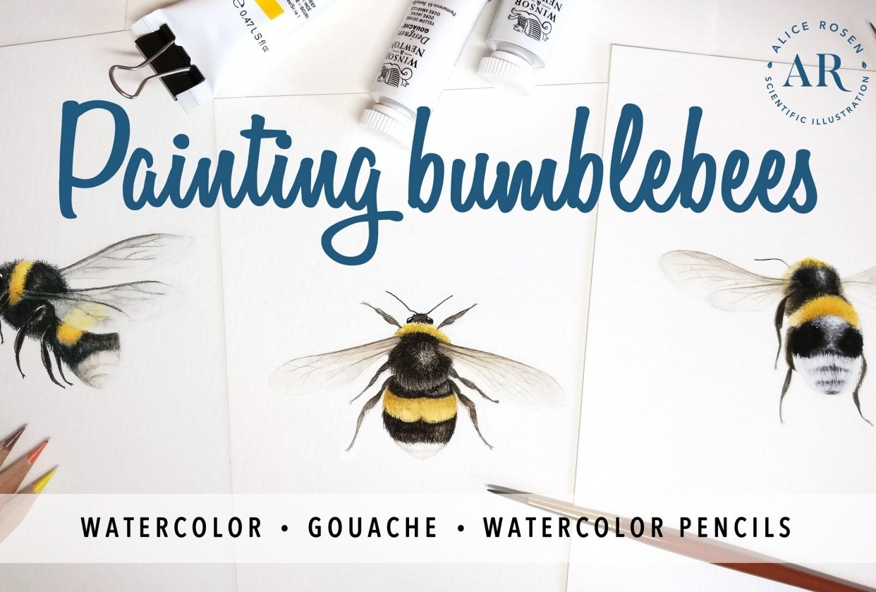 [PUBLISHED] Painting Bees in Watercolor, Gouache & Watercolor Pencils - student project