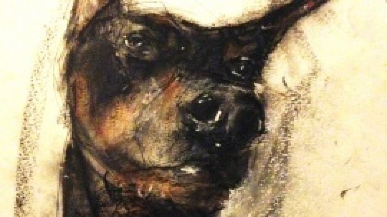 Dog Tattoo - student project