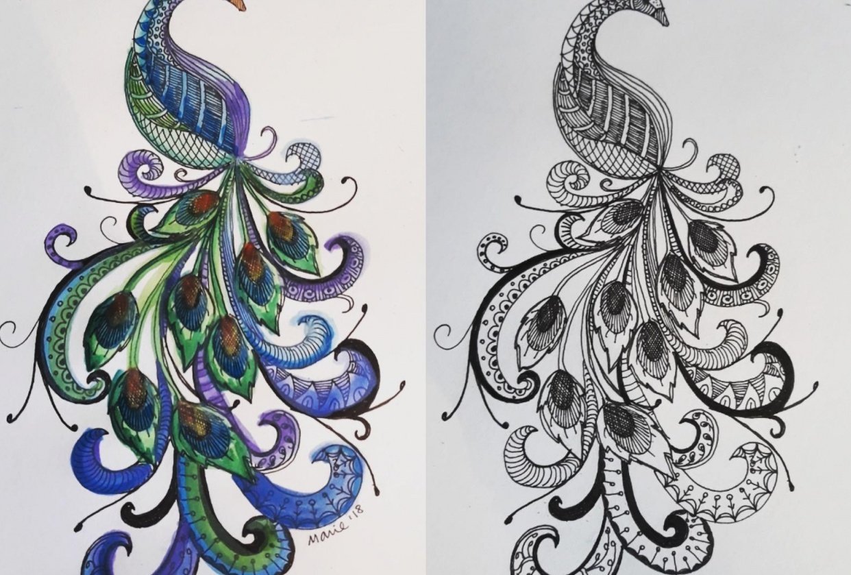 zentangle and watercolor - student project