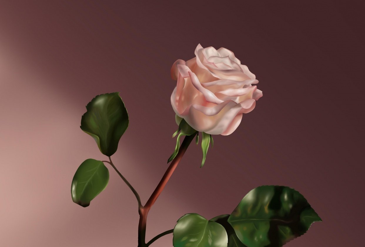 Rose - student project