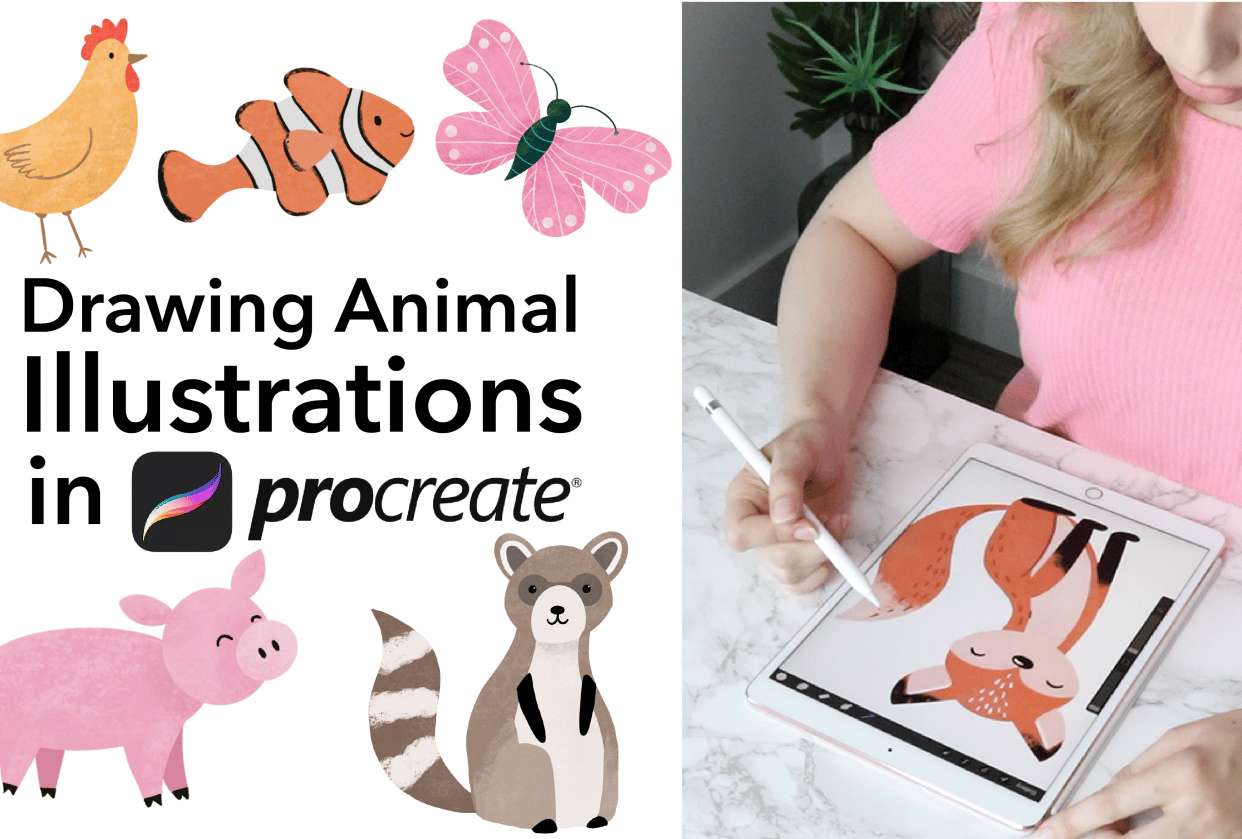 Drawing Animal Illustrations in Procreate - student project