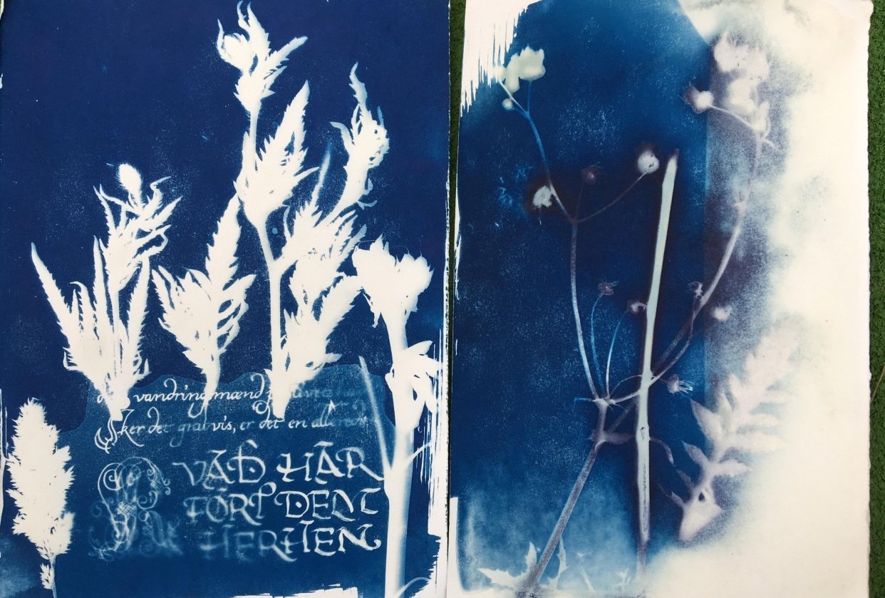 Lettering with cyanotype - student project