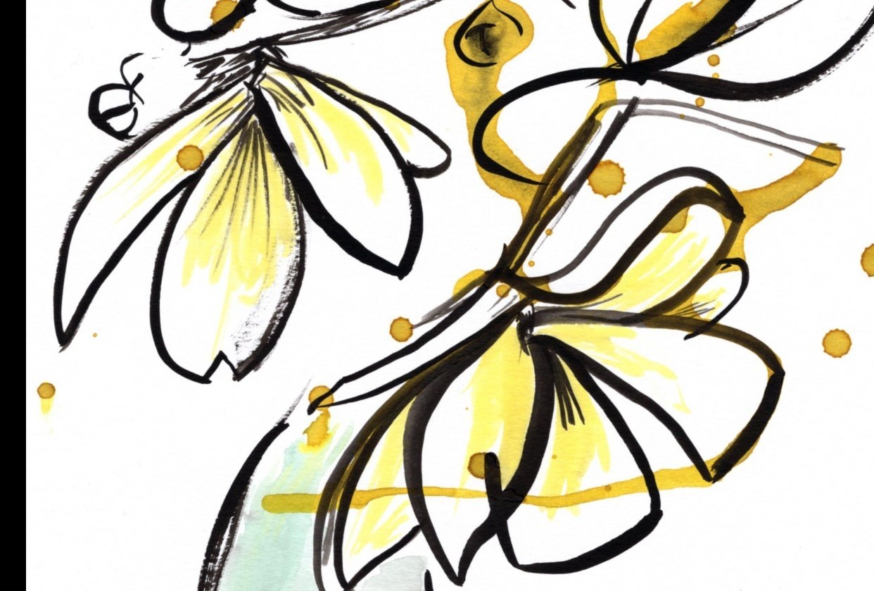 Nature Flow Skillshare Student Project