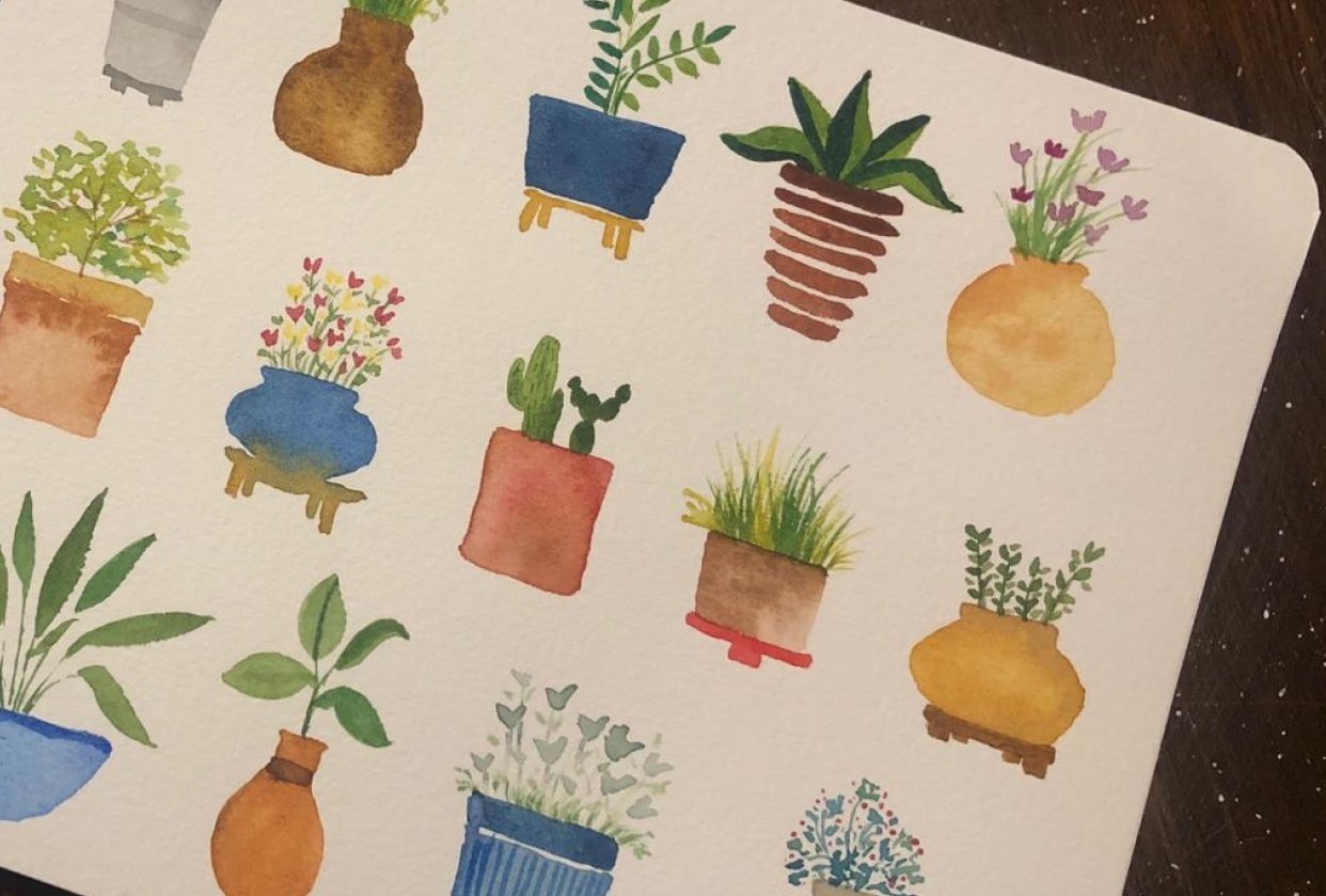 Potted Plants Skillshare Student Project