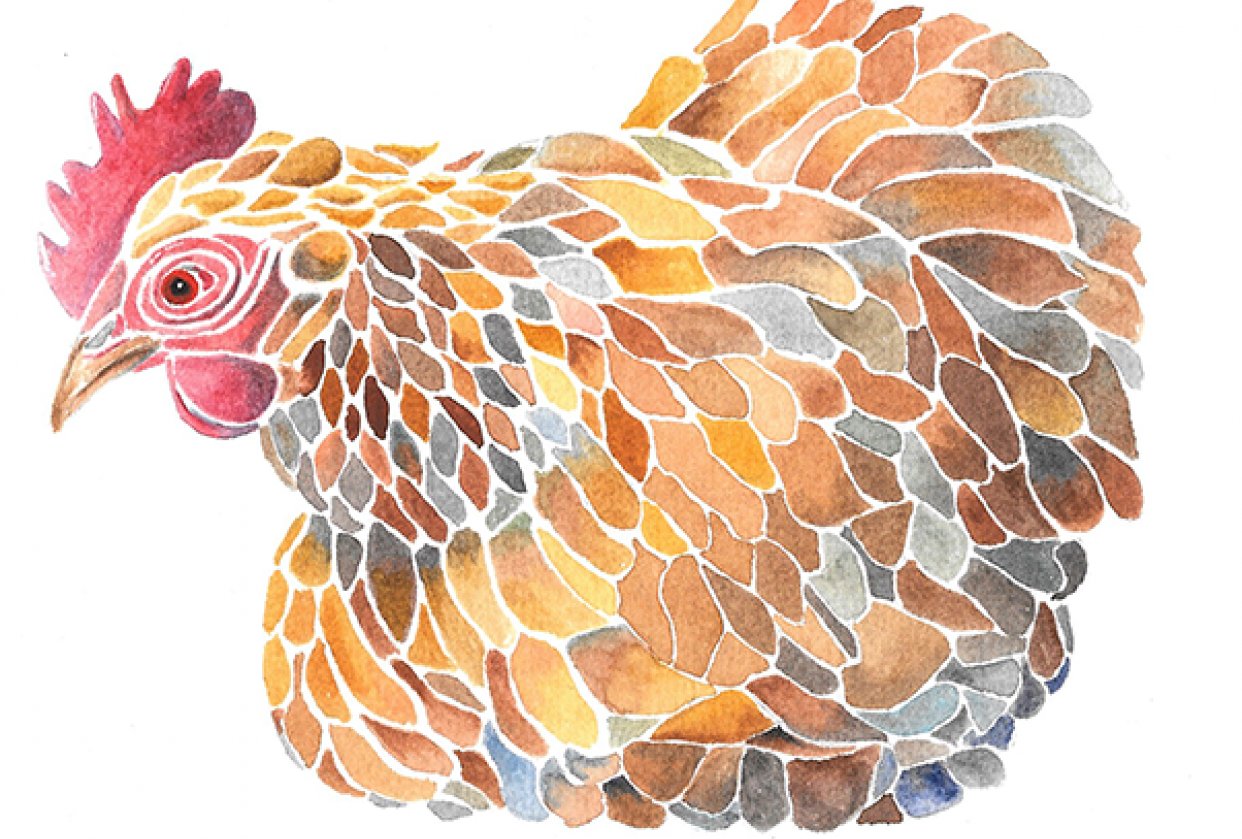 Mosaic Hen - student project