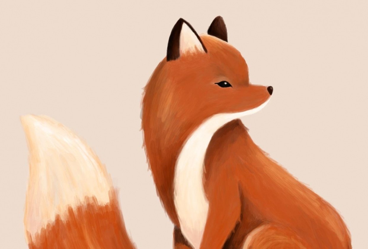 Phoenix Fox - student project