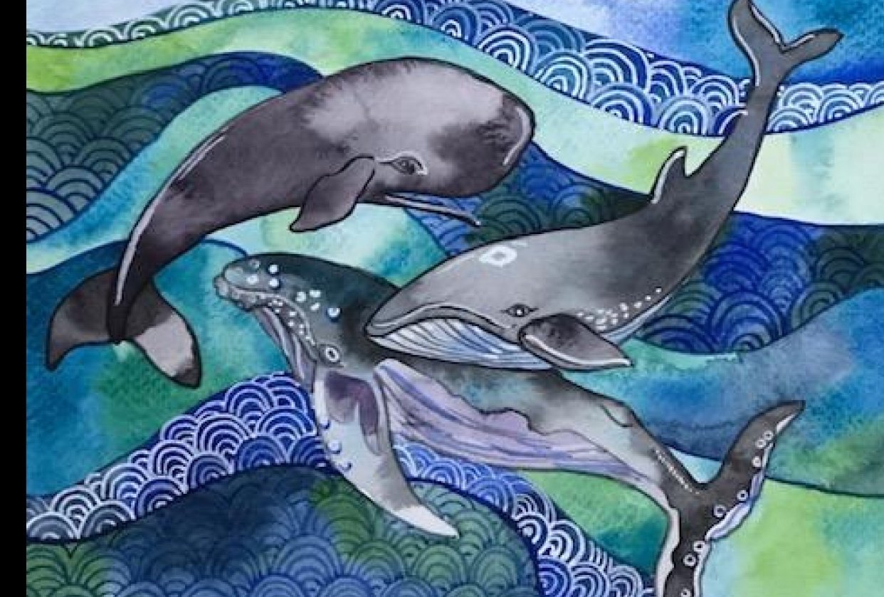 Nantucket - Song of the Whales - student project