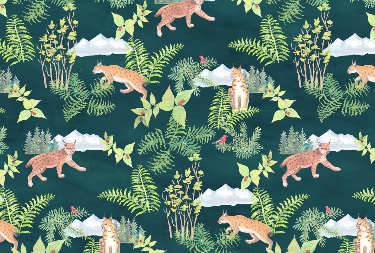 Lynx in the boreal forest - student project