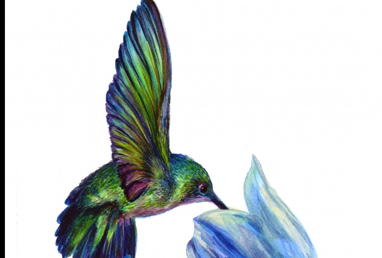 So much iridescence! - student project