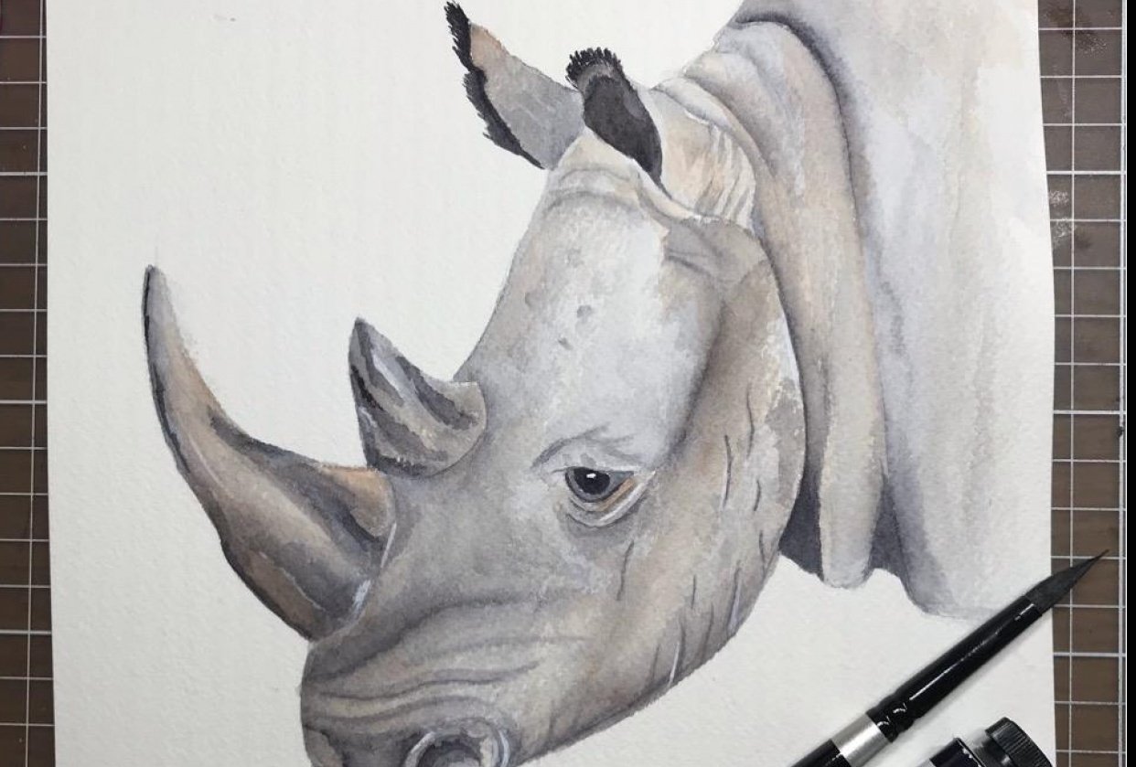 rhino student download rhino student download