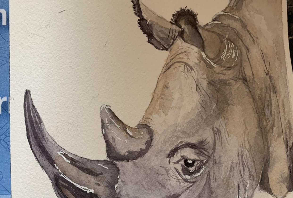 Rhino from Mastering Water Control Skillshare Student Project