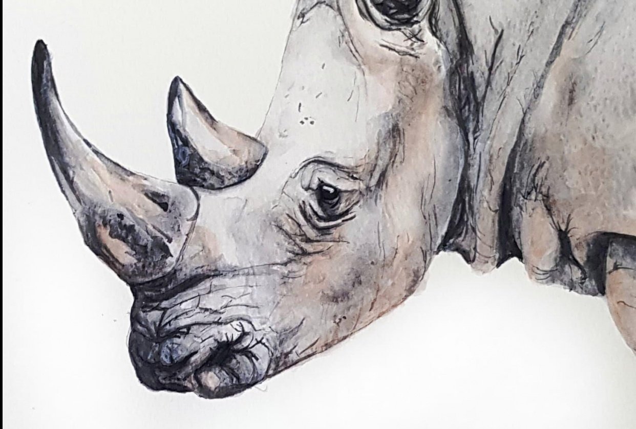 Water controlled rhino Skillshare Student Project