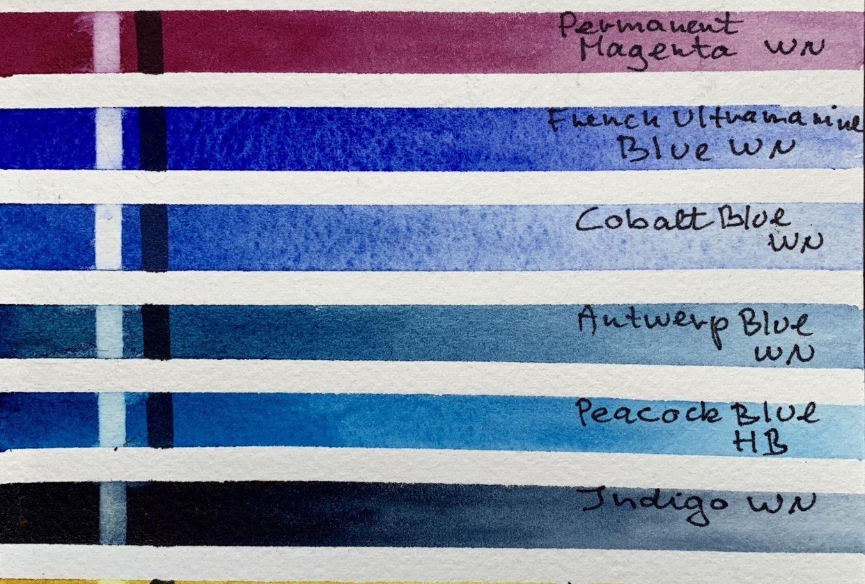 My Favorite WC Palette Colors - student project