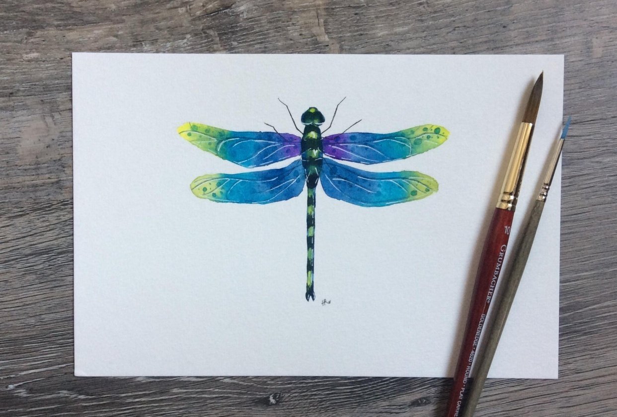 Watercolour Dragonfly - student project